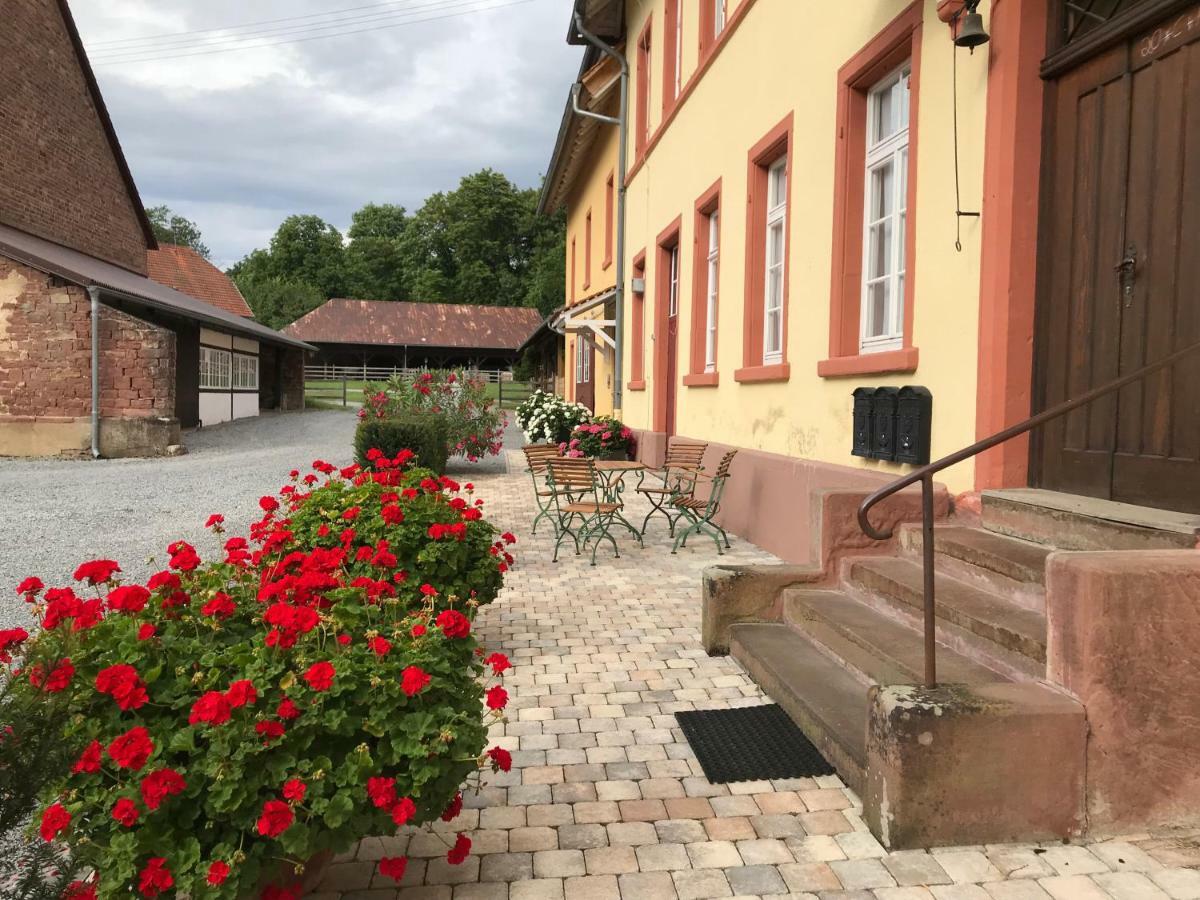 Elegantes Gaesteapartment Verano In Schloss Und Hofgut Langenzell Wiesenbach Luaran gambar